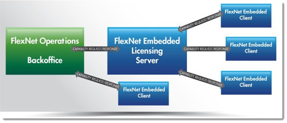FlexNet Embedded License Concepts
